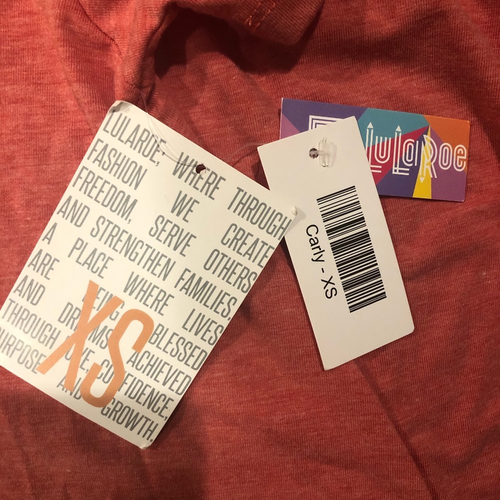 BNWT Lularoe Carly dress - Picture 4 of 5